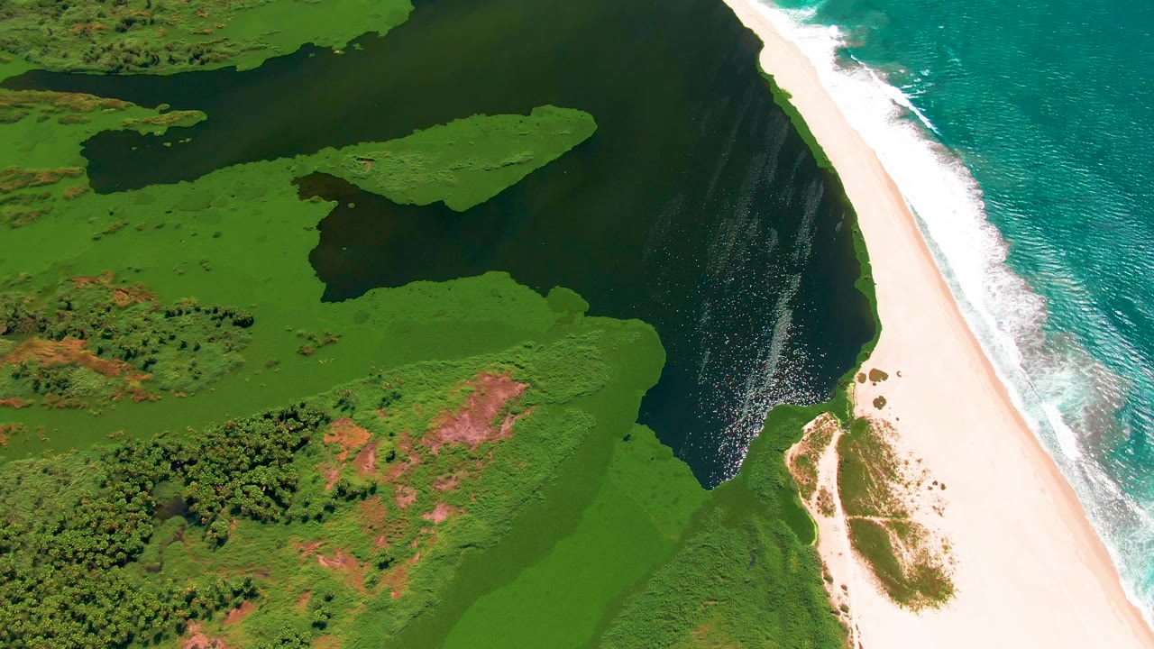 Aerial view in San Jose del Cabo, Mexico, where the dark river runs along a bright sandbar beside blue-green ocean water and a thin band of white foam with no visible people.