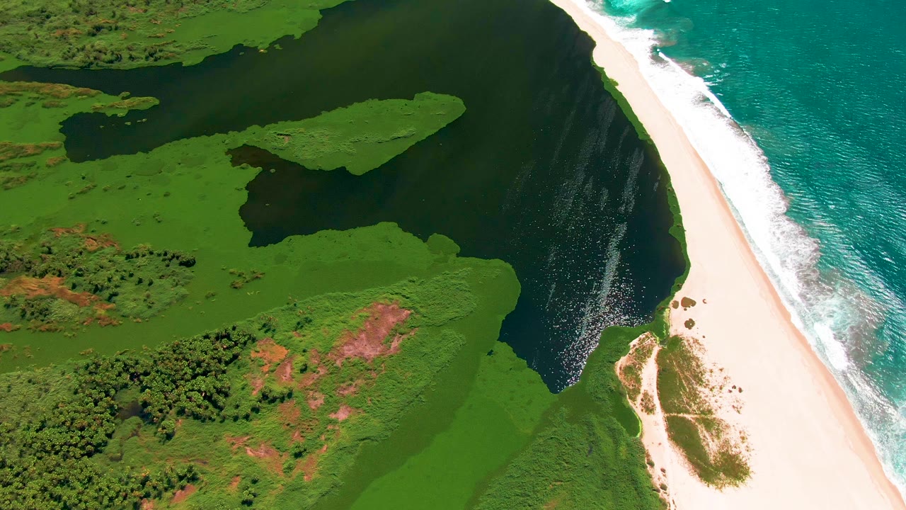 San Jose del Cabo aerial frame showing green coastal vegetation and reddish exposed ground on the left, dark lagoon water in the center, and breaking waves on pale sand to the right with no visible people.