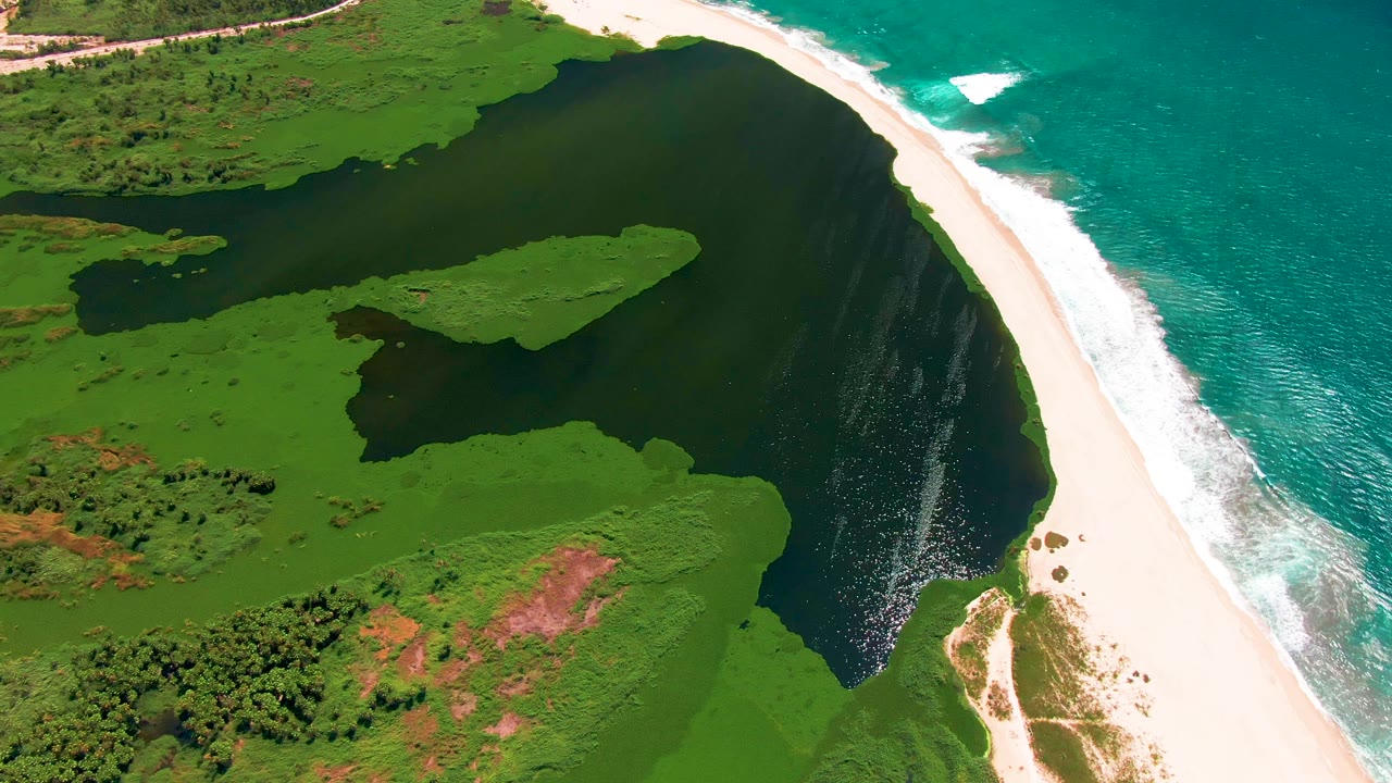 Dark lagoon, sandy shore, green vegetation, and ocean waves from above