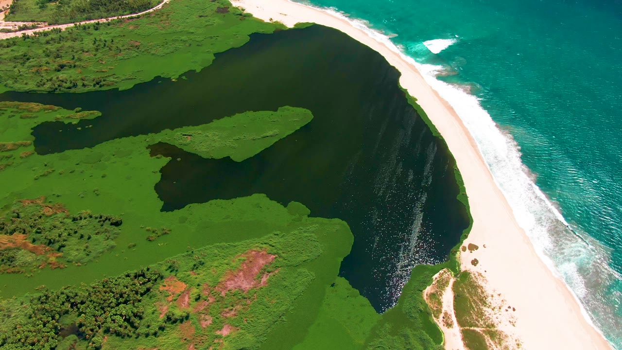 Aerial frame from San Jose del Cabo showing the lagoon's broad dark water, green islands or marsh edges, bright sand along the ocean, breaking surf, exposed earth patches, and no visible people.