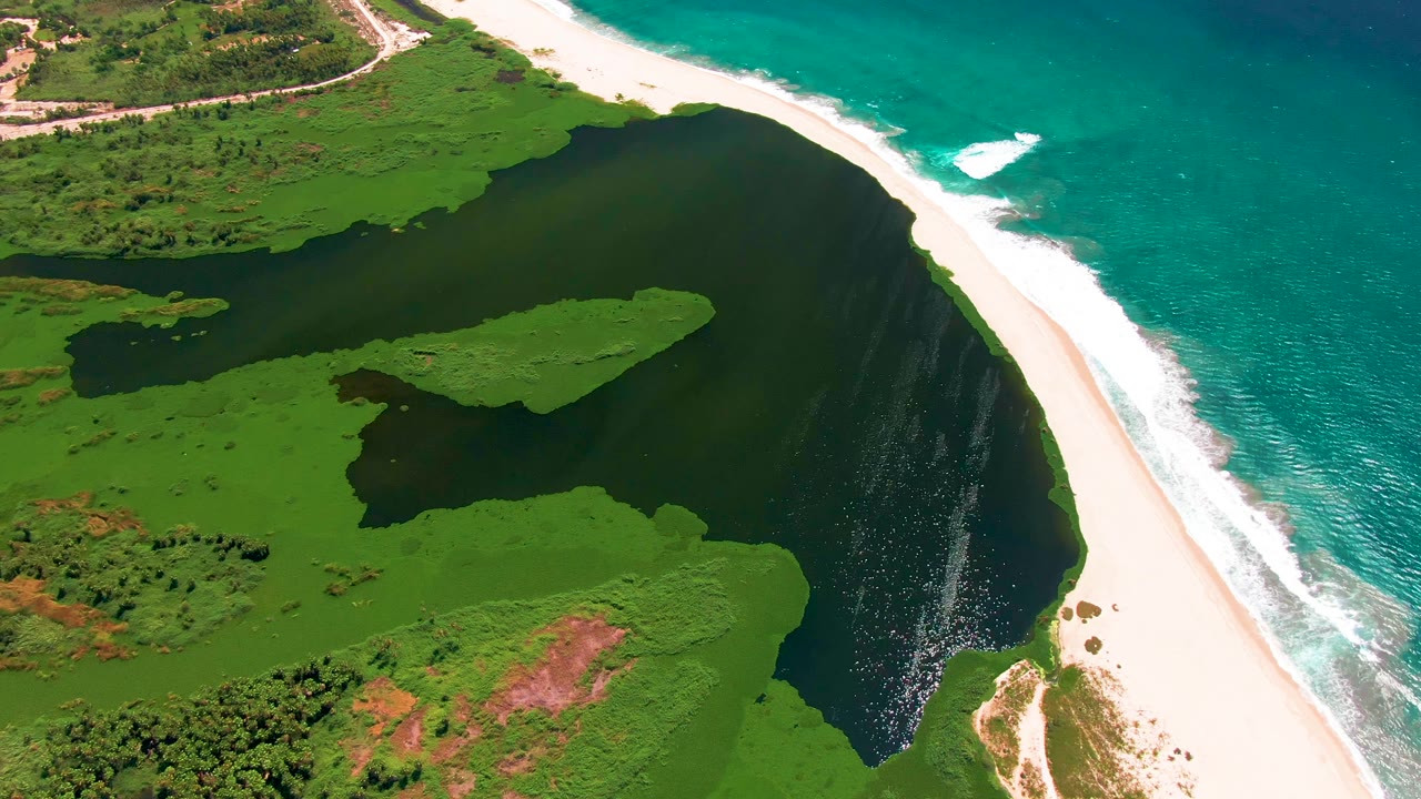 Aerial view of green wetland, dark lagoon water, white sand beach, and turquoise ocean.