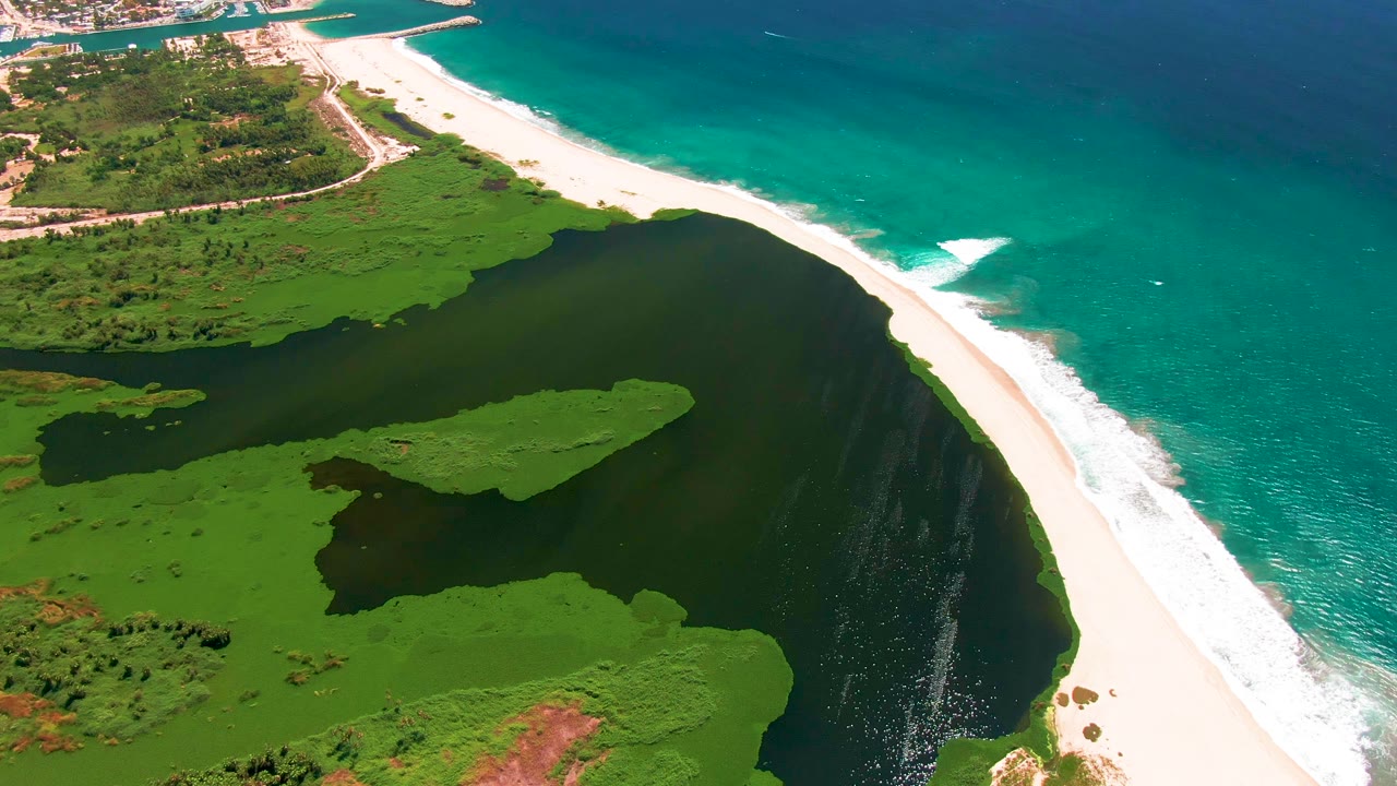 San Jose del Cabo aerial frame with a dark lagoon, bright green vegetation islands, a pale beach edge, active white surf, and no visible people.