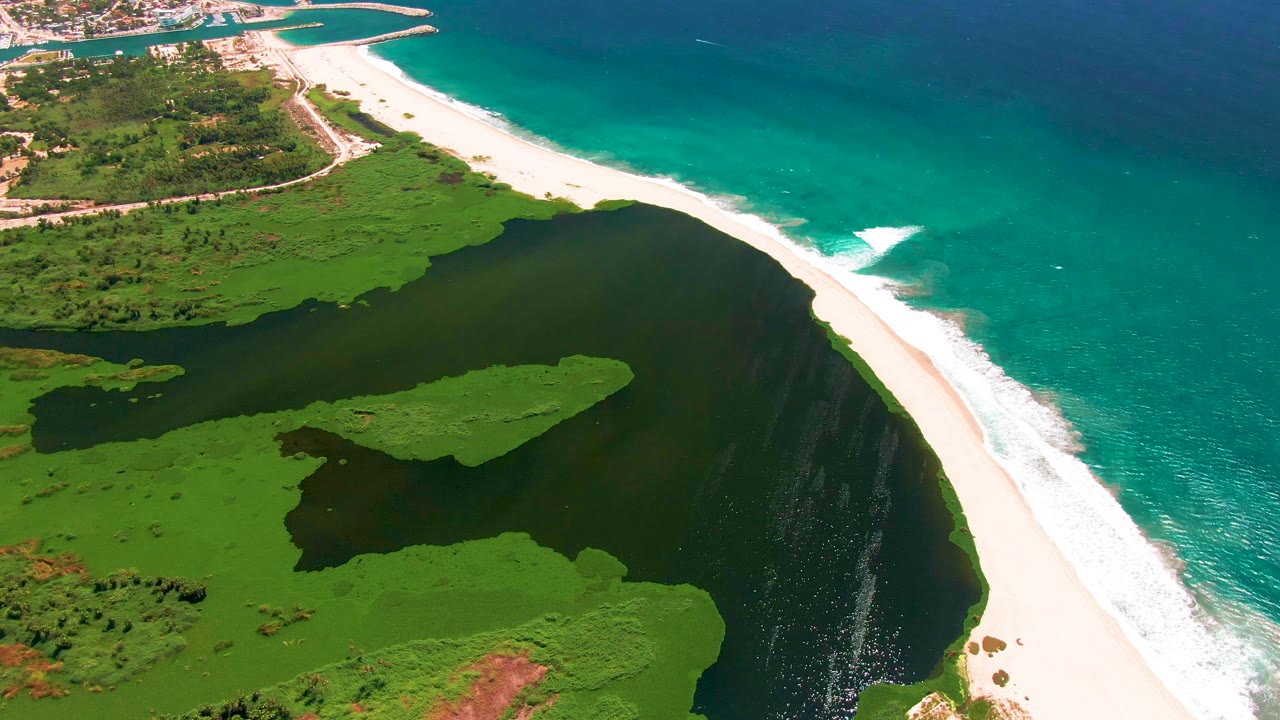 Aerial frame over San Jose del Cabo coastal wetland showing lagoon vegetation in the foreground, a sandy inlet to the right, ocean surf beyond, and no visible people.
