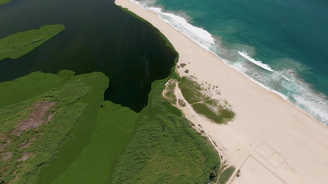 Aerial frame from San Jose Del Cabo showing a diagonal sandy beach, dark green coastal vegetation, blue-green surf, and a tiny person near the beach path.