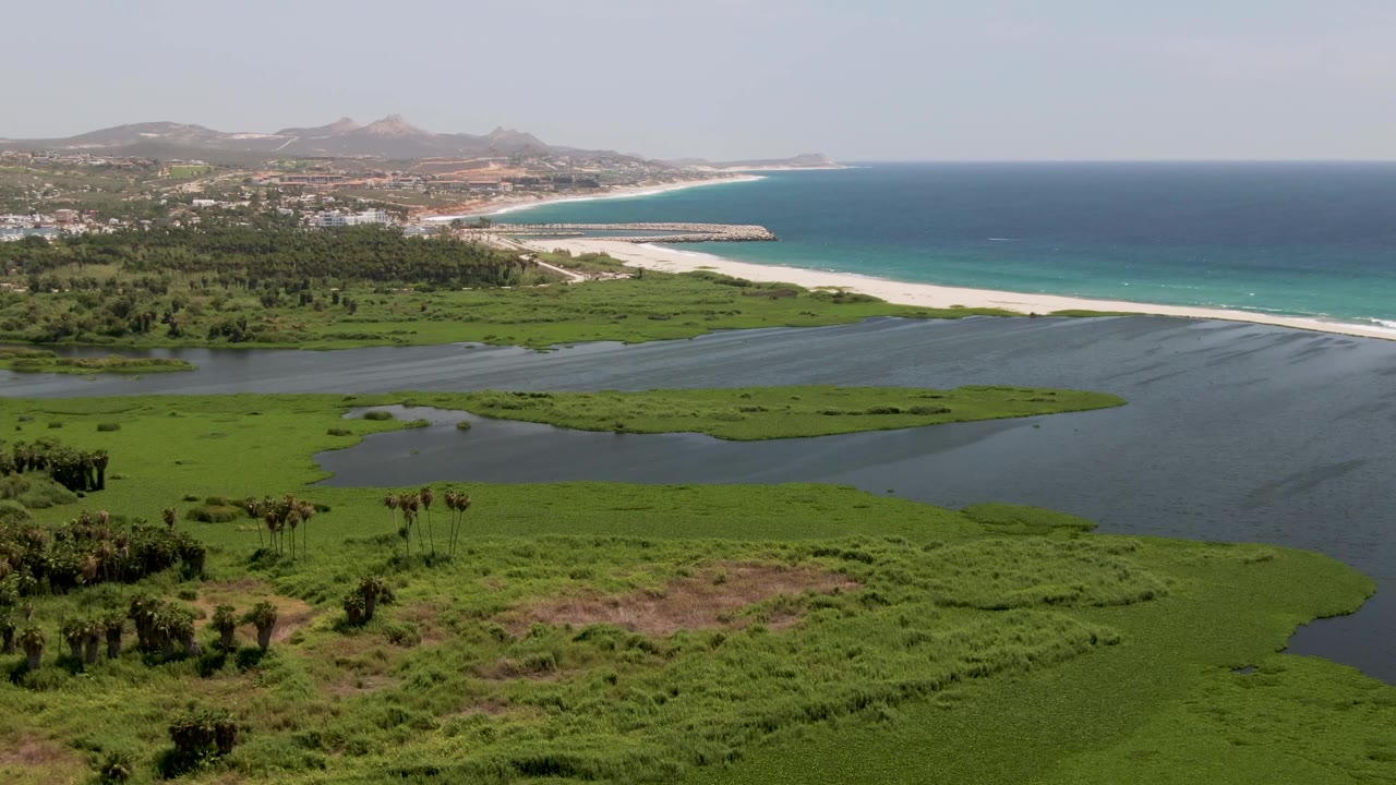 Aerial San Jose Del Cabo coastal view with wetland plants and lagoon pools in the lower frame, sandy shoreline and turquoise surf in the middle distance, distant buildings and low hills, and no visible people.