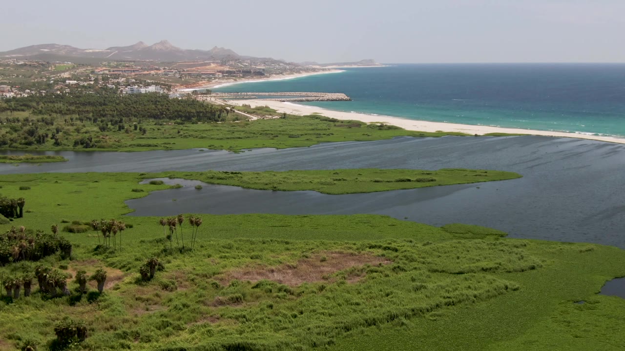 Mid-clip aerial view over San Jose Del Cabo wetland, with dense green marsh and lagoon water in front, a pale beach and blue ocean behind, the town edge along the coast, hills in the distance, and no visible people.