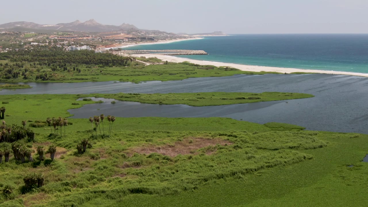 Elevated view over green coastal marsh and lagoon toward a white sand beach and blue ocean in San Jose del Cabo, Mexico, with no visible people.