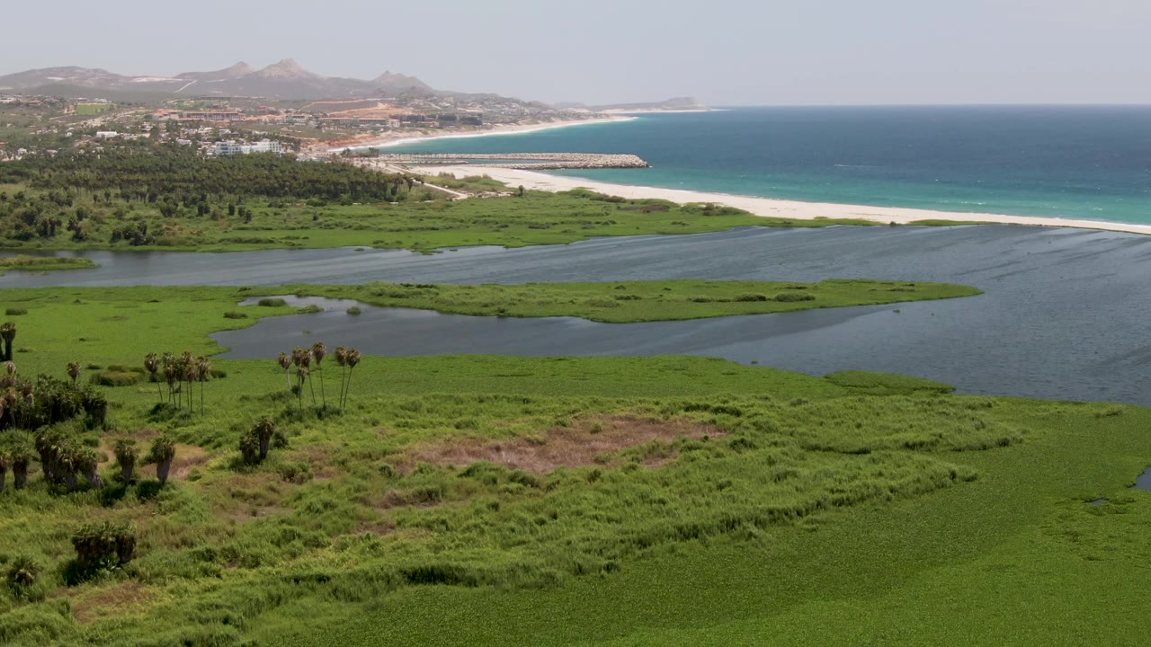 Wide aerial frame of San Jose del Cabo wetland grasses, calm lagoon water, a pale beach strip, and blue ocean, with no visible people.