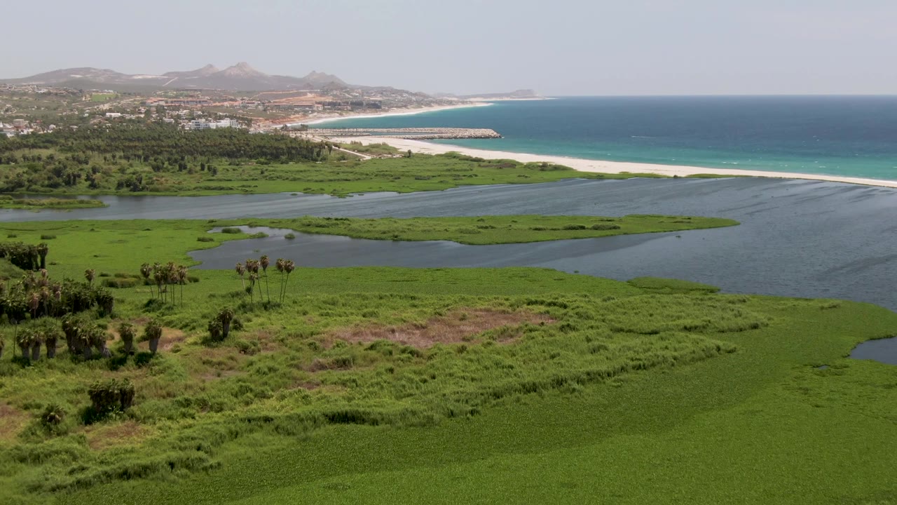 Green marshland fills the lower frame while lagoon water, white beach, blue ocean, coastal buildings, and hills recede across San Jose del Cabo, with no visible people.