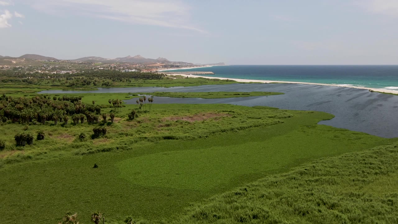 Second frame of San Jose Del Cabo wetlands with palms at left, dense green grass below, lagoon water across the center, bright surf along the beach, and no visible people.