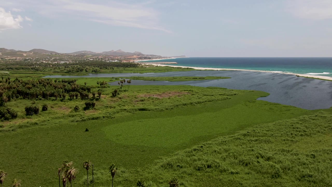 Third frame over San Jose Del Cabo shows a broad green wetland field, darker lagoon water to the right, the white beach and ocean beyond, low hills left of the horizon, and no visible people.