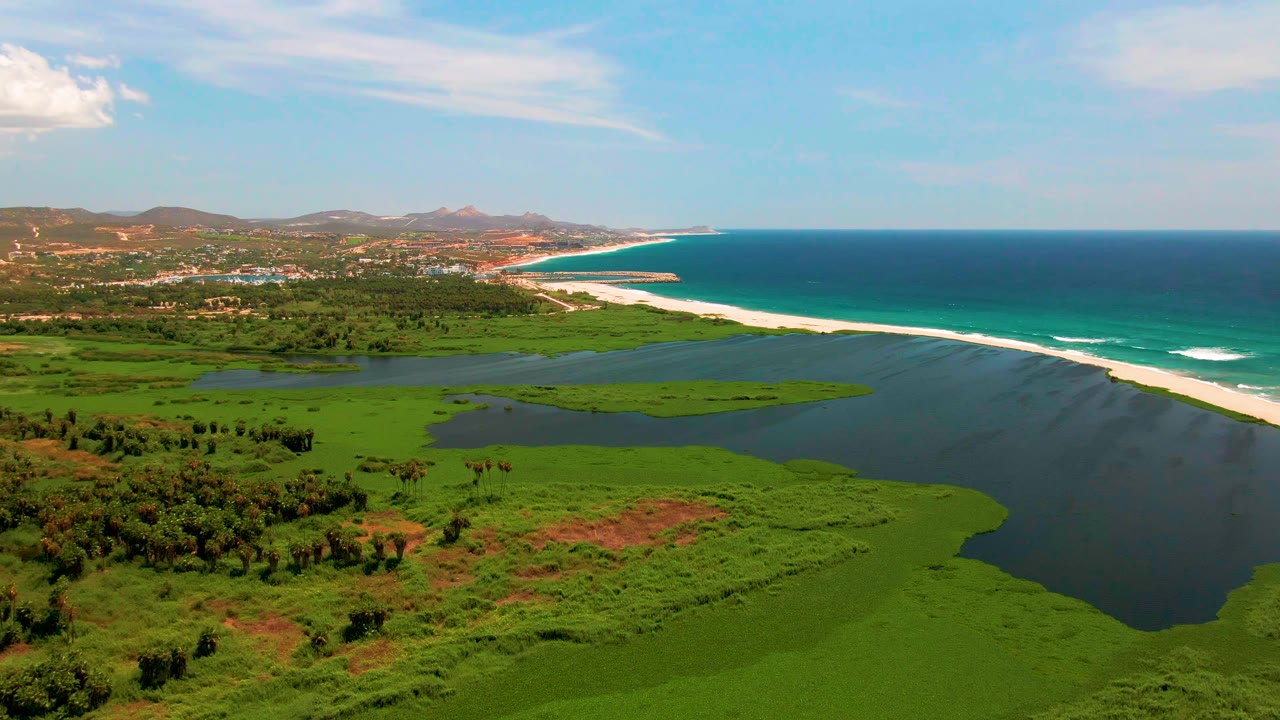 A wide aerial view in San Jose del Cabo shows green wetland vegetation around a lagoon, a pale sand beach, blue ocean water, distant hills, and no visible people.