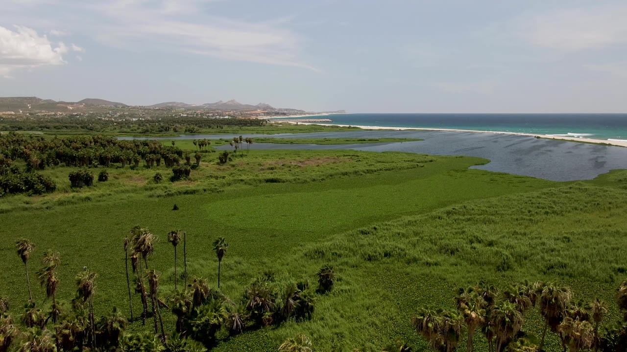 Opening frame of San Jose del Cabo coastal wetlands with palm trees in the foreground, lagoon water and green fields in the middle distance, ocean surf beyond, hills on the horizon, and no visible people.