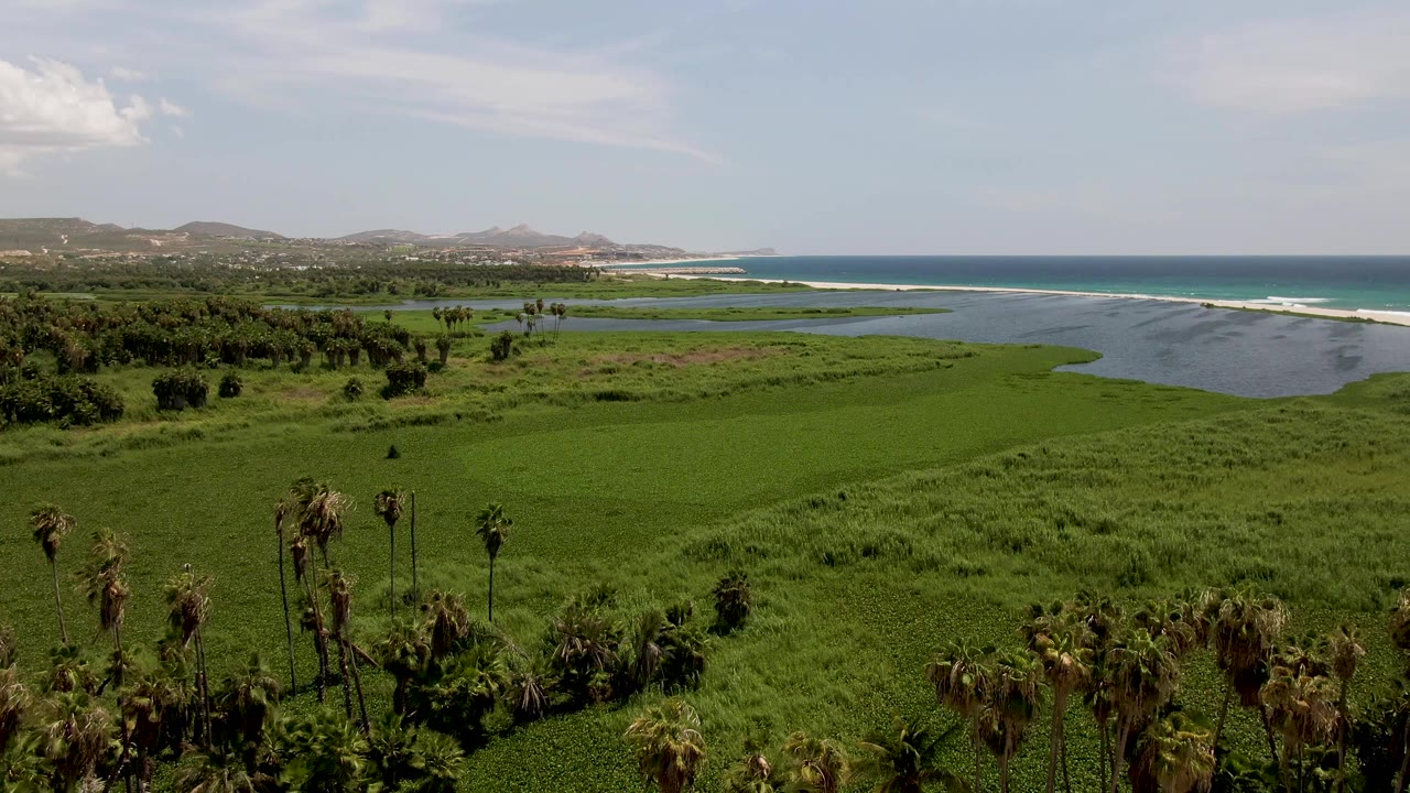 Elevated view over palms, green wetlands, lagoon water, and ocean shoreline.