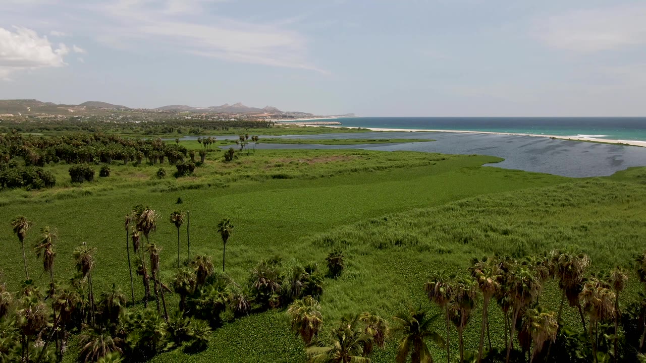 Third frame of the San Jose del Cabo coastal landscape, showing more clustered palms at the lower right, uninterrupted green wetlands across the center, blue ocean to the right, hills in the background, and no visible people.