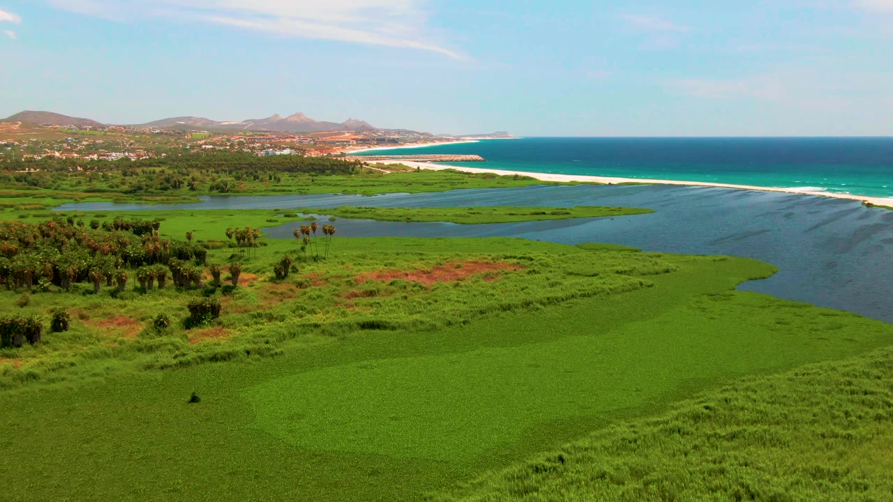 At 0:02, the aerial view shows palm clusters in the San Jose Del Cabo wetlands, broad lagoon water, a bright beach line, deep blue ocean, distant hills, and no visible people.