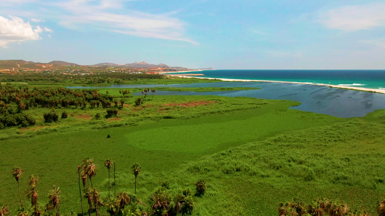 San Jose del Cabo coastal wetland seen from above with green marsh, palm trees along the lower edge, ocean water beyond, distant hills, blue sky, and no visible people.