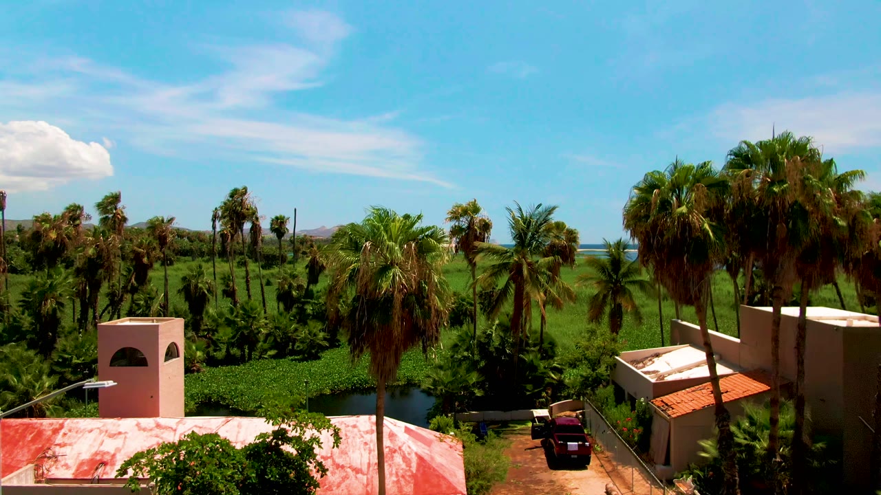 A raised San Jose del Cabo view places beige roof structures and tall palms in the foreground, with green fields, distant water, hills, white clouds, and no visible people.