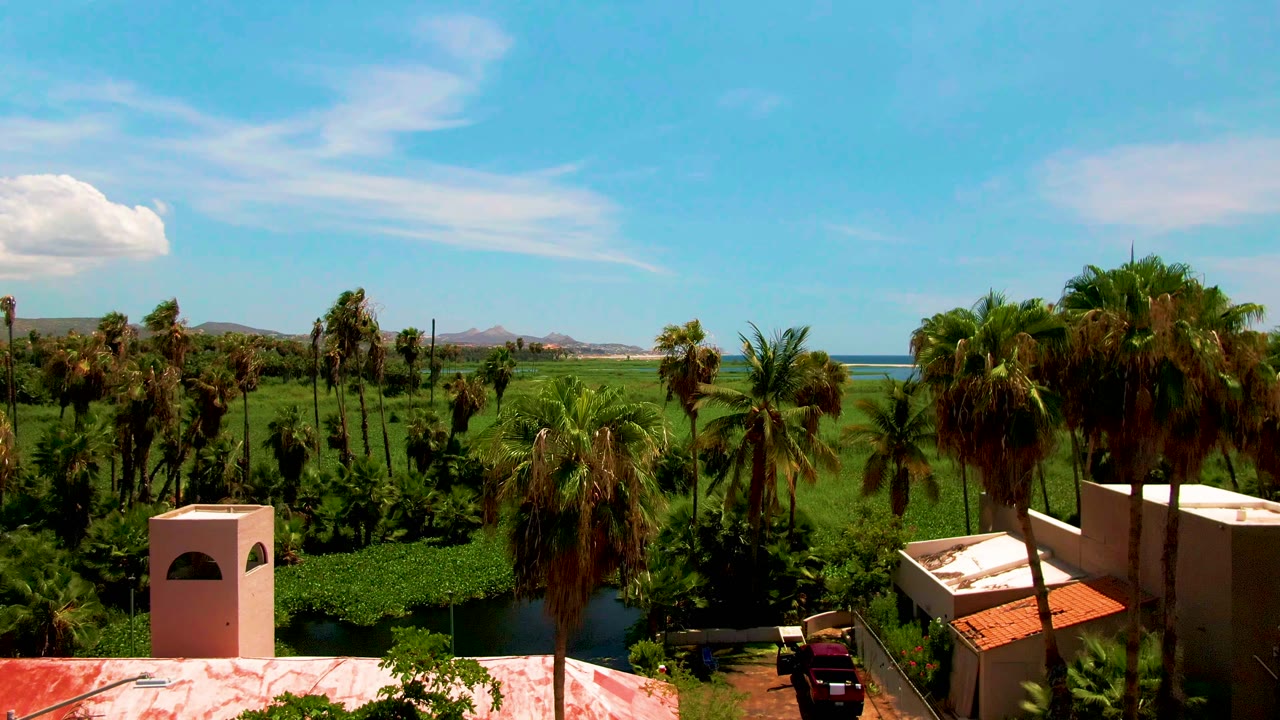 Wider view of green palm field, small buildings, hills, and ocean