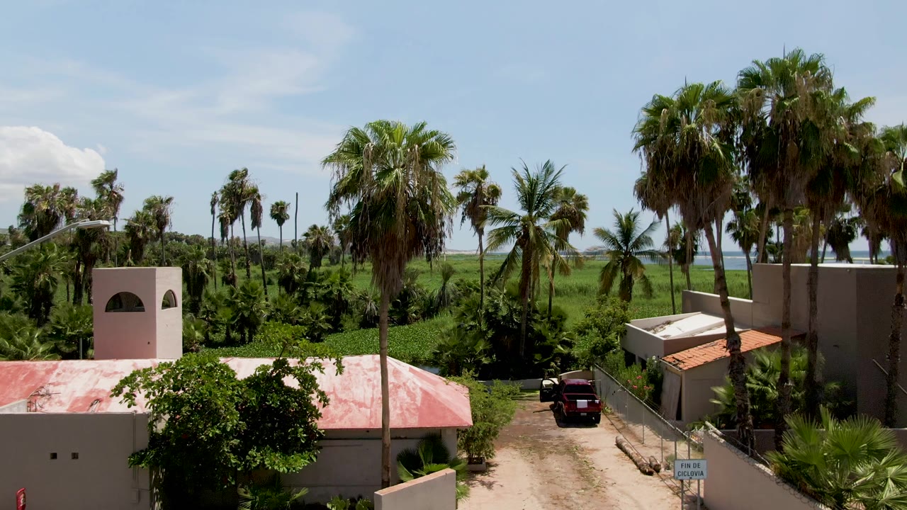 Opening view in San Jose del Cabo shows pale buildings and a red roof in the foreground, palm trees across green terrain, distant water, low hills, blue sky, and no visible people.