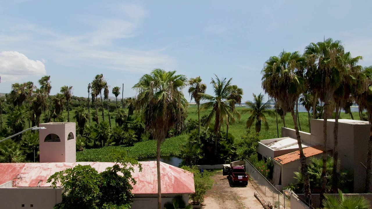 Palm-filled green landscape behind foreground buildings and a parked vehicle.
