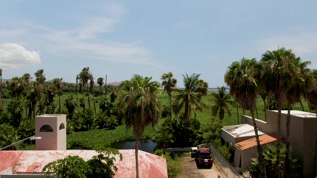 San Jose del Cabo landscape frame shows blocky pale buildings at right, palms and dense greenery across the midground, a water channel, distant blue water, hills, sky, and no visible people.