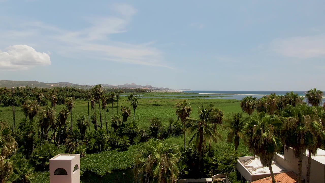 San Jose del Cabo coastal landscape with palm trees, green fields, distant hills, blue ocean, a small foreground building edge, and no visible people.