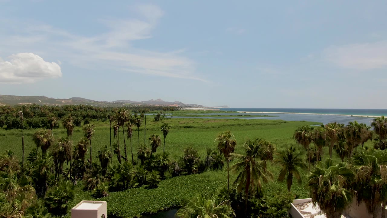 San Jose del Cabo coastal field and palm grove with the ocean line and hills in the distance, bright clouds overhead, and no visible people.