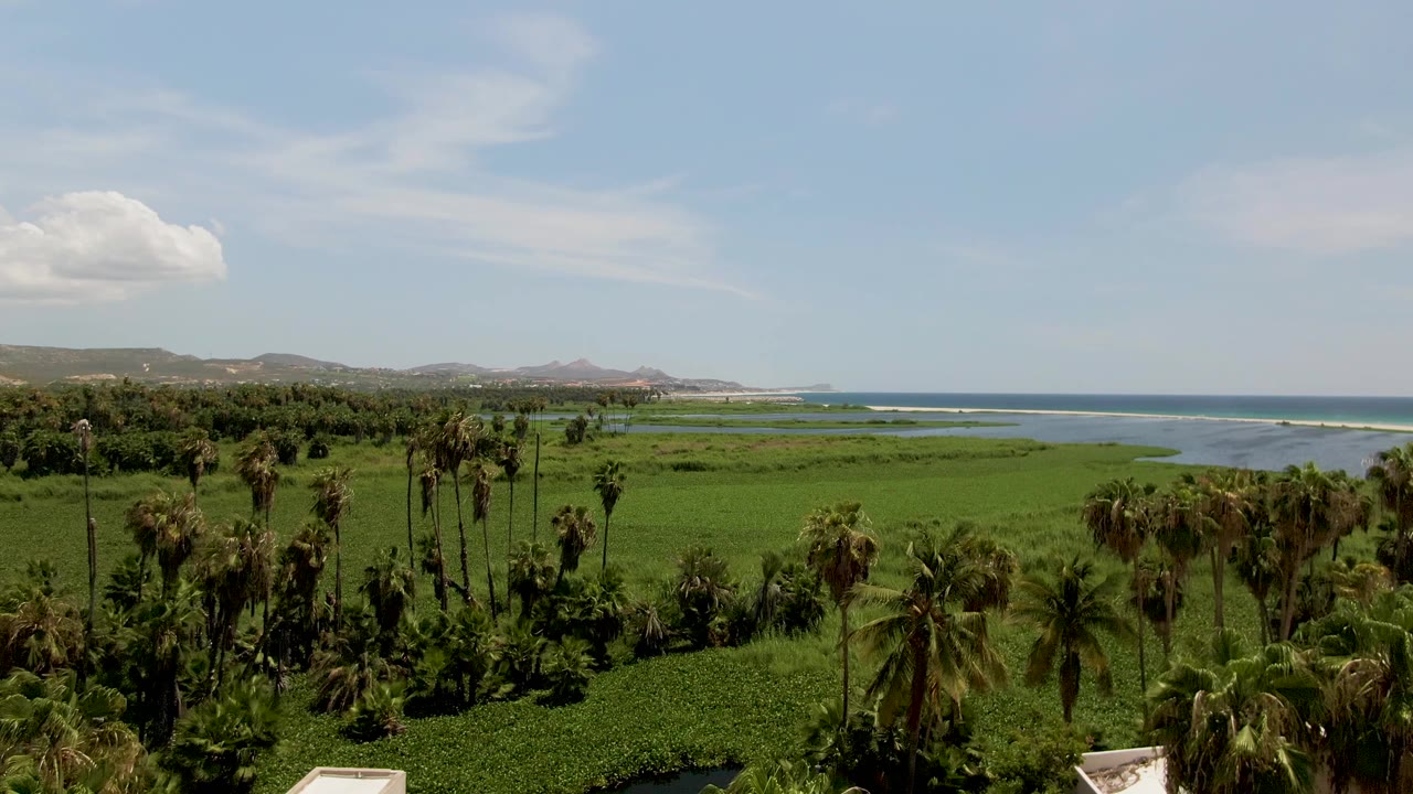 Green coastal fields and palms beside ocean water and distant hills.