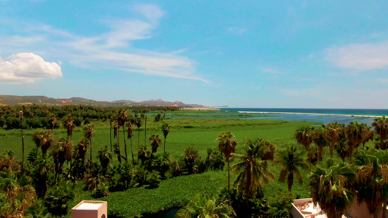 Wide aerial view in San Jose del Cabo, Mexico, with palm trees over green fields, ocean bands beyond them, low hills on the horizon, and no visible people.
