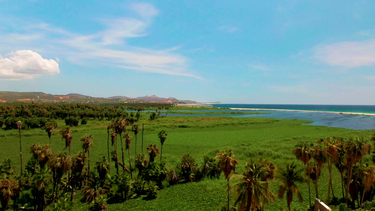 Aerial view over San Jose del Cabo vegetation with palms along the lower edge, open fields and a blue ocean inlet across the middle, low hills beyond, and no visible people.