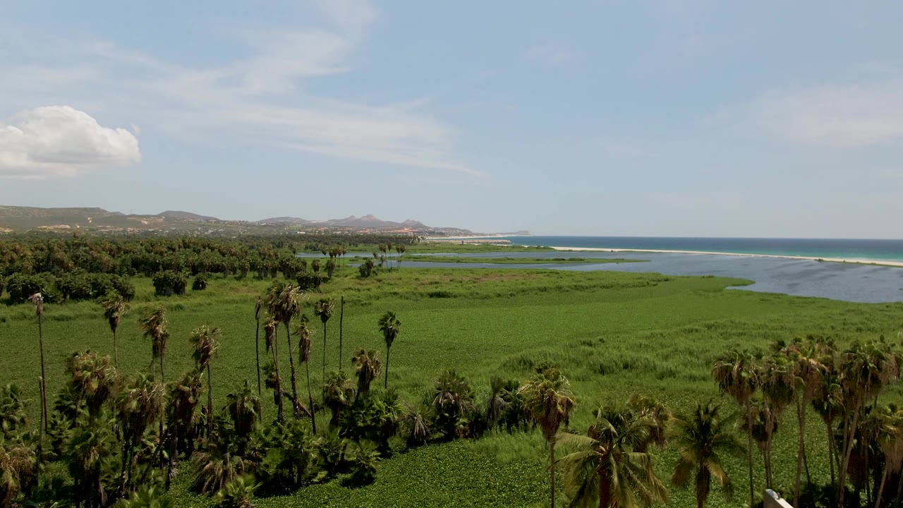 Opening aerial frame over a green San Jose del Cabo coastal estuary with foreground palms, ocean surf to the right, distant hills, scattered clouds, and no visible people.