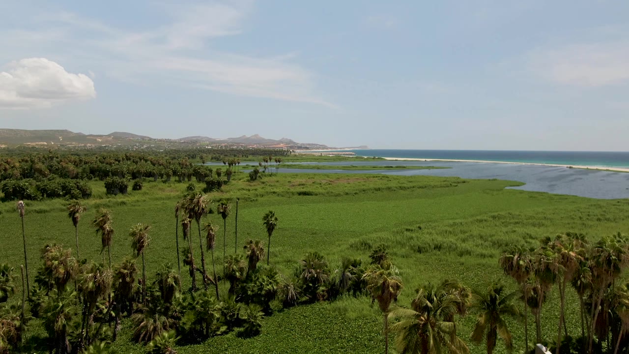 A slightly later aerial view of the San Jose del Cabo estuary shows broad green fields, clustered palms in the foreground, blue ocean beyond the waterway, and no visible people.