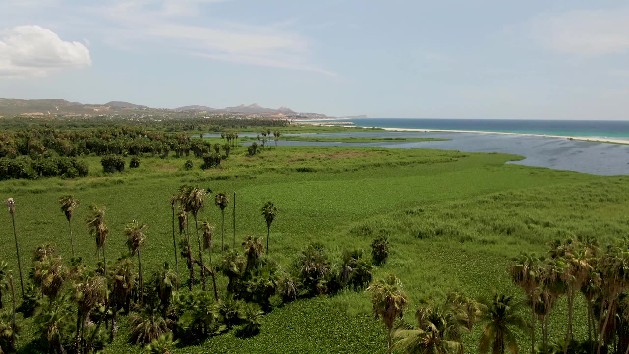 Later aerial frame over San Jose del Cabo shows the same estuary from a steady high angle, with foreground palms, bright green wetland, ocean beyond, distant hills, and no visible people.