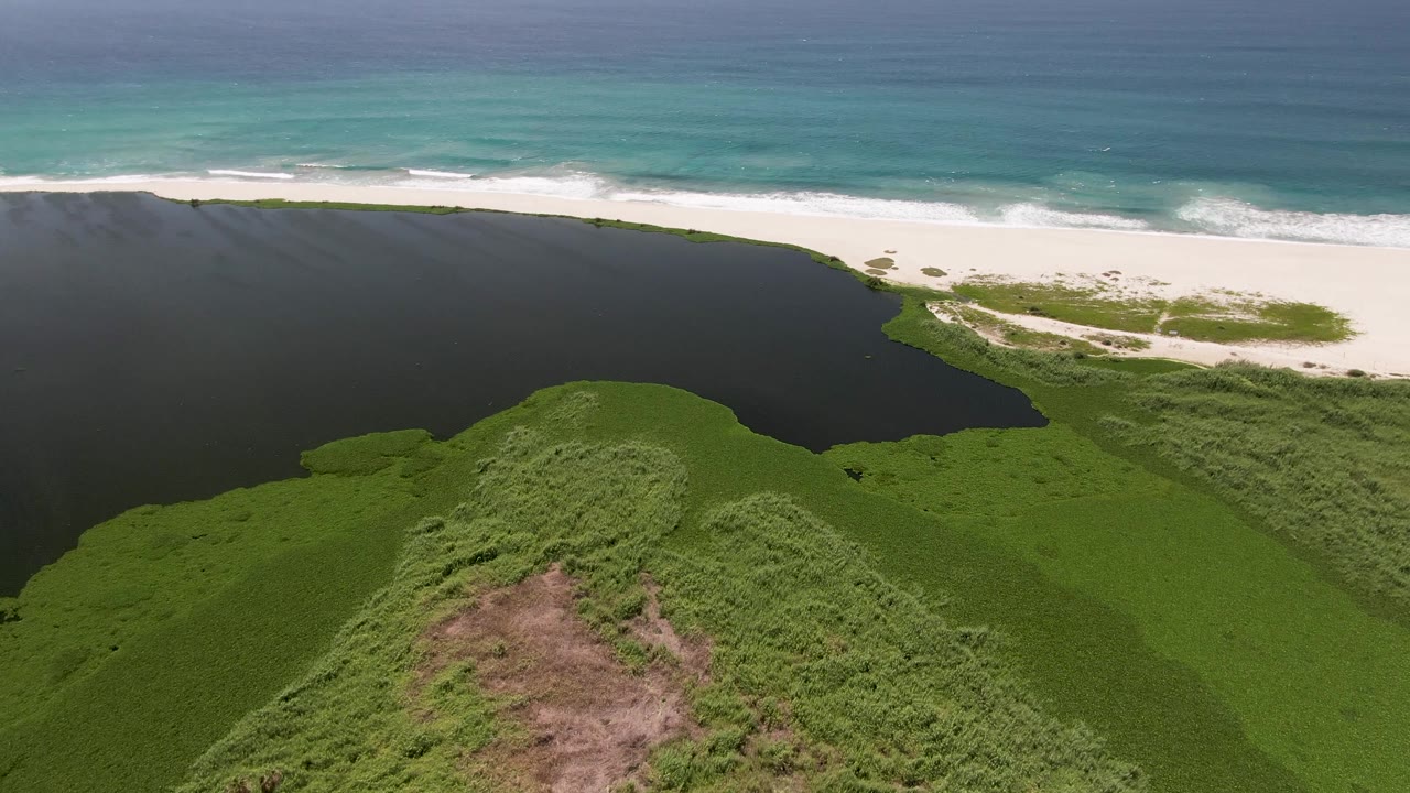 San Jose del Cabo aerial view with rounded green vegetation in the foreground, dark lagoon water across the middle, and white surf tracing the ocean beach, no visible people.