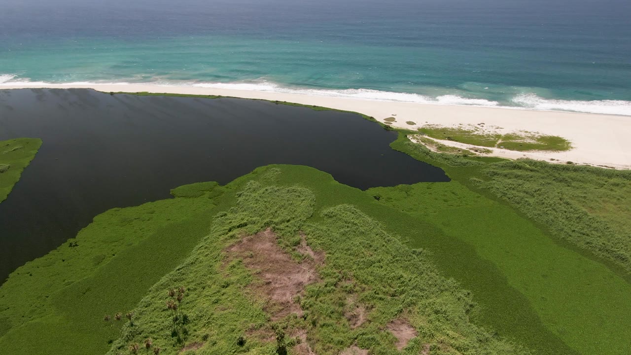 Second frame over San Jose del Cabo with the lagoon curving along green coastal vegetation toward the bright sand beach and small ocean waves, with no visible people.