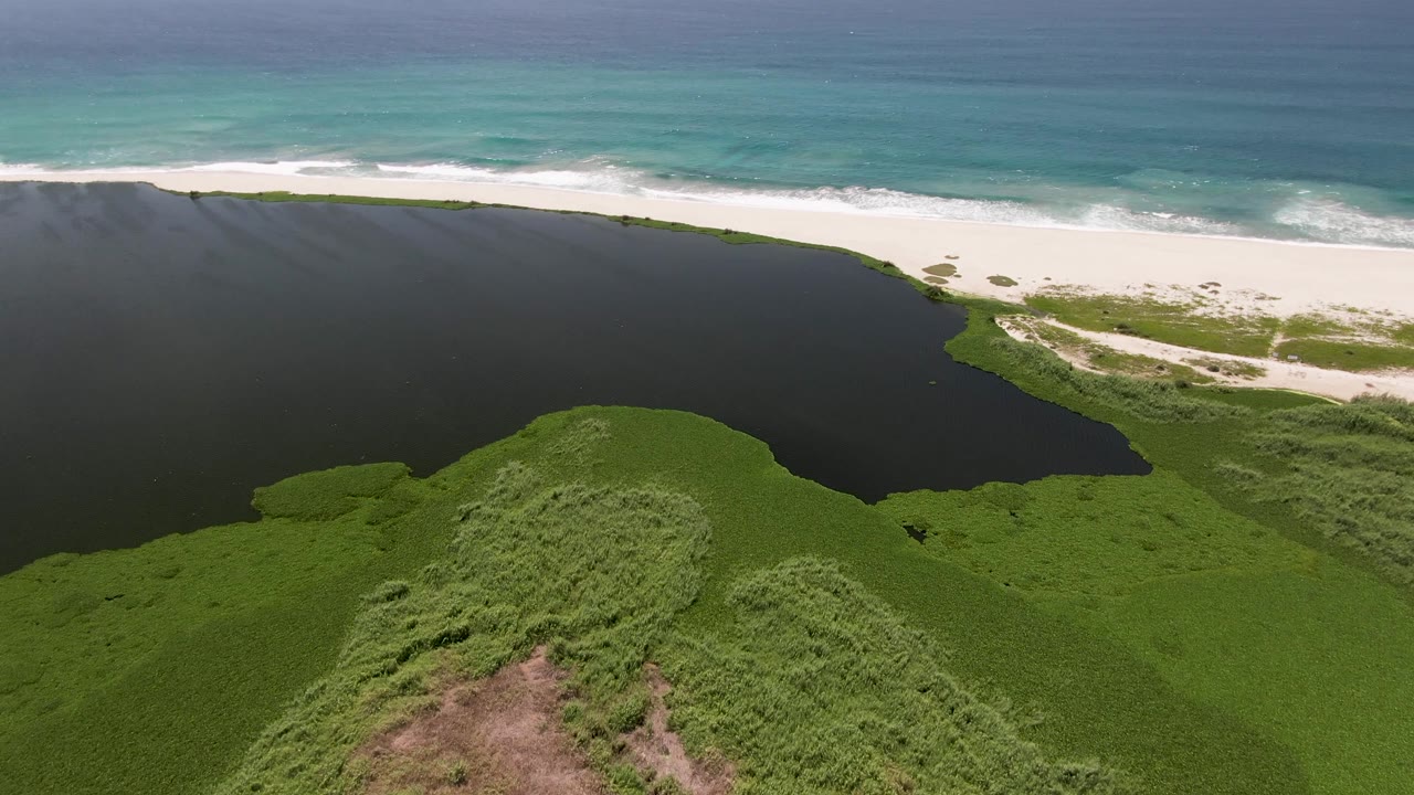 At 0:00, an aerial view in San Jose Del Cabo shows a dark lagoon edged by green vegetation below a white beach and turquoise ocean, with no visible people.