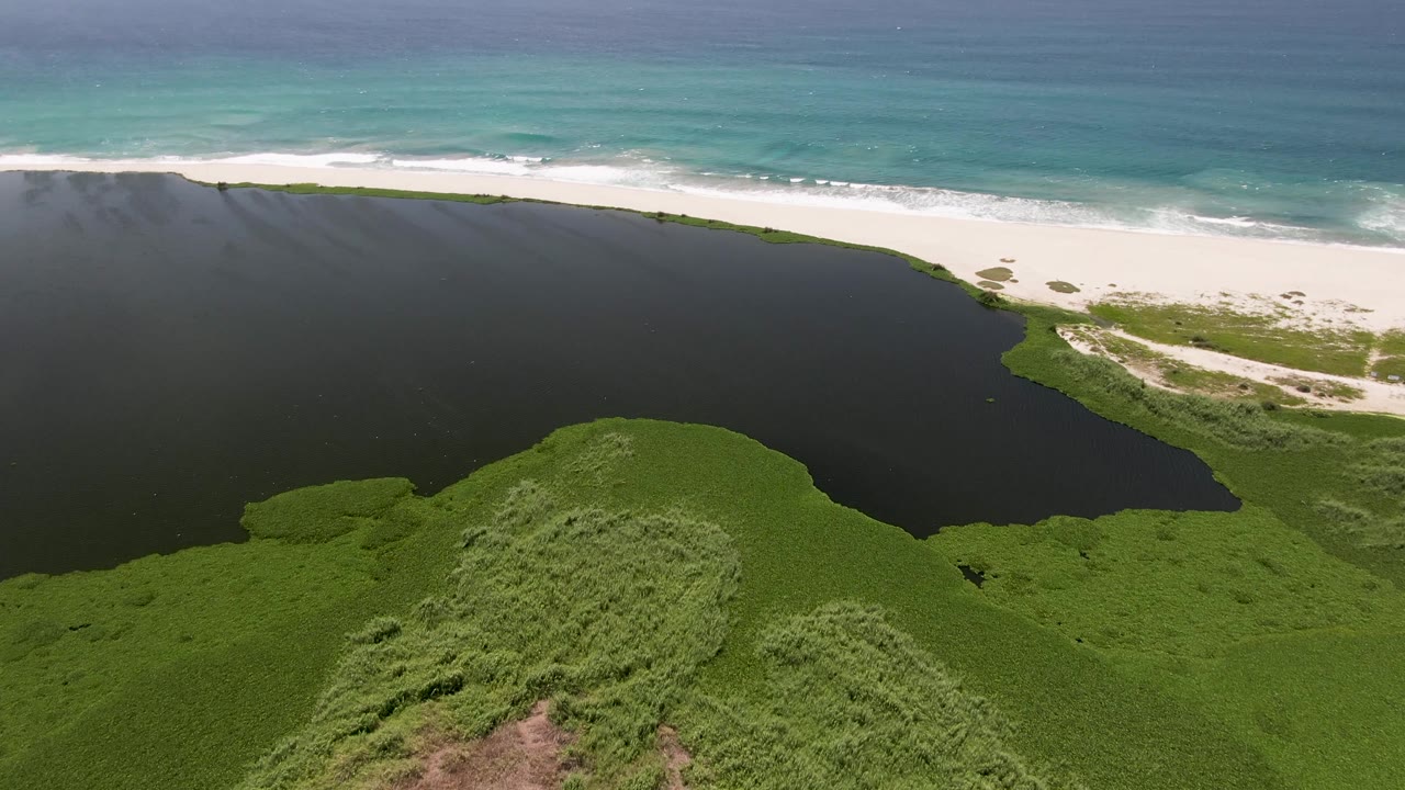 At 0:02, the San Jose Del Cabo aerial composition shows the rounded green vegetation area below the dark lagoon, with white sand and turquoise surf stretching behind it, with no visible people.