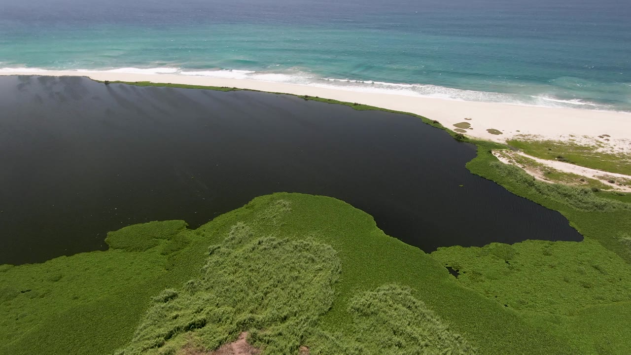 Lagoon shoreline and white beach seen from an aerial coastal angle