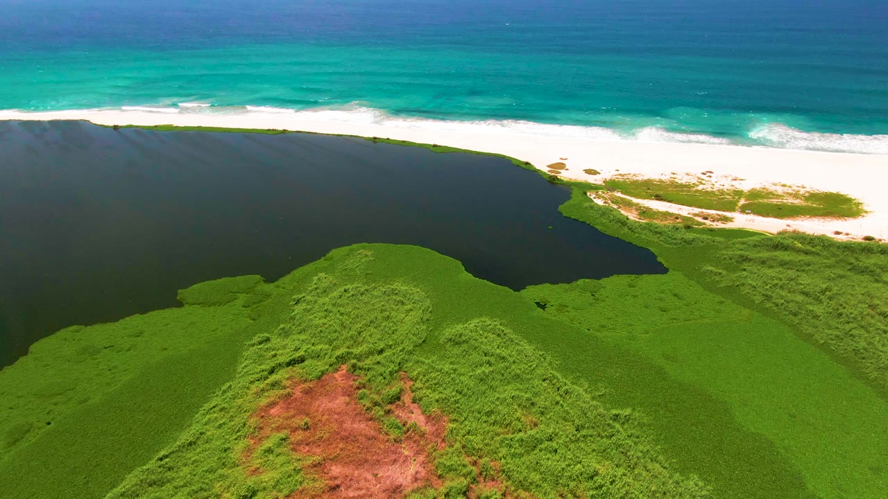 Aerial view in San Jose del Cabo with a rounded mass of green vegetation below, lagoon water through the middle, bright surf along the sand, and no visible people.