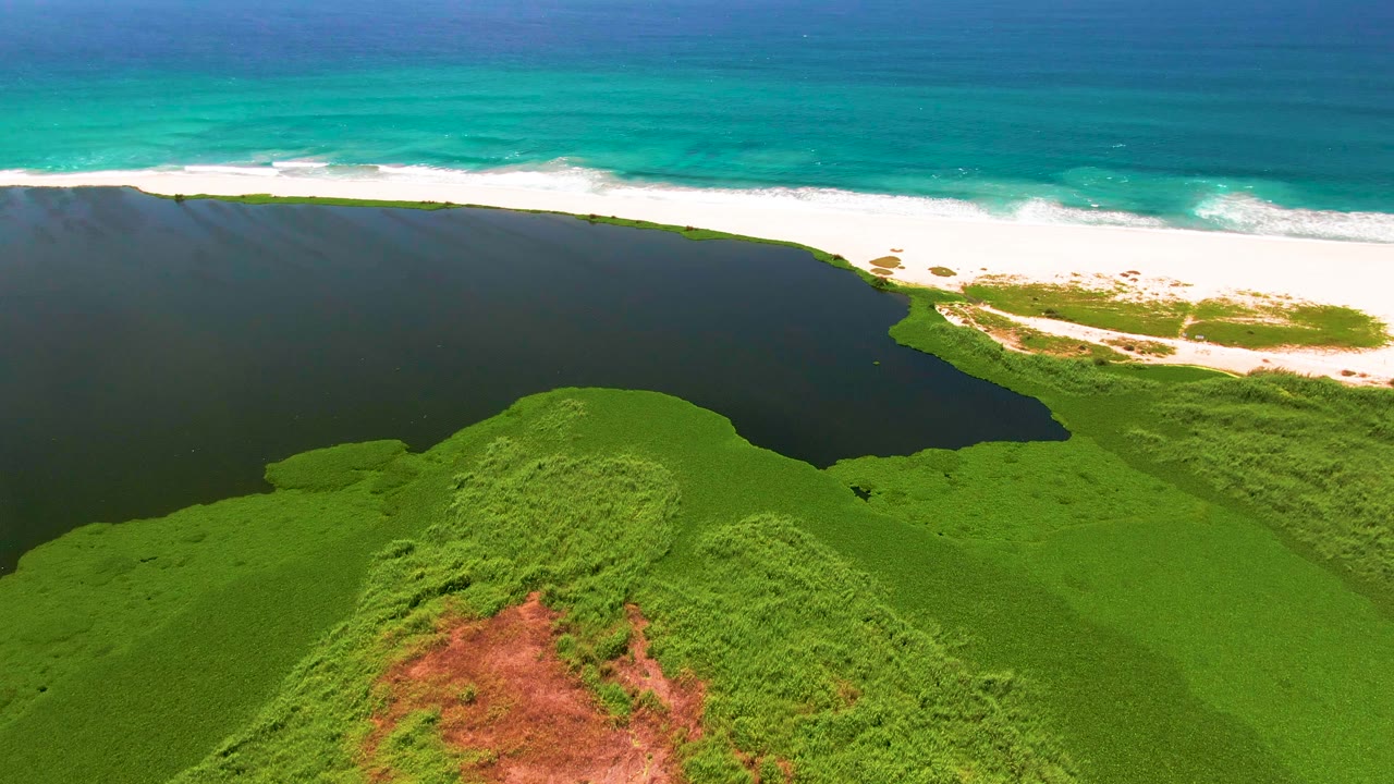 San Jose del Cabo aerial frame showing dense green vegetation across the lower half, a dark lagoon behind it, pale sand and white waves at the upper edge, and no visible people.