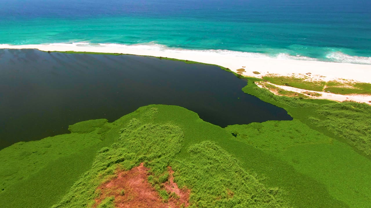 Aerial frame from San Jose del Cabo with green vegetation curving around lagoon water, reddish ground near the bottom, a white sand strip, turquoise ocean, and no visible people.
