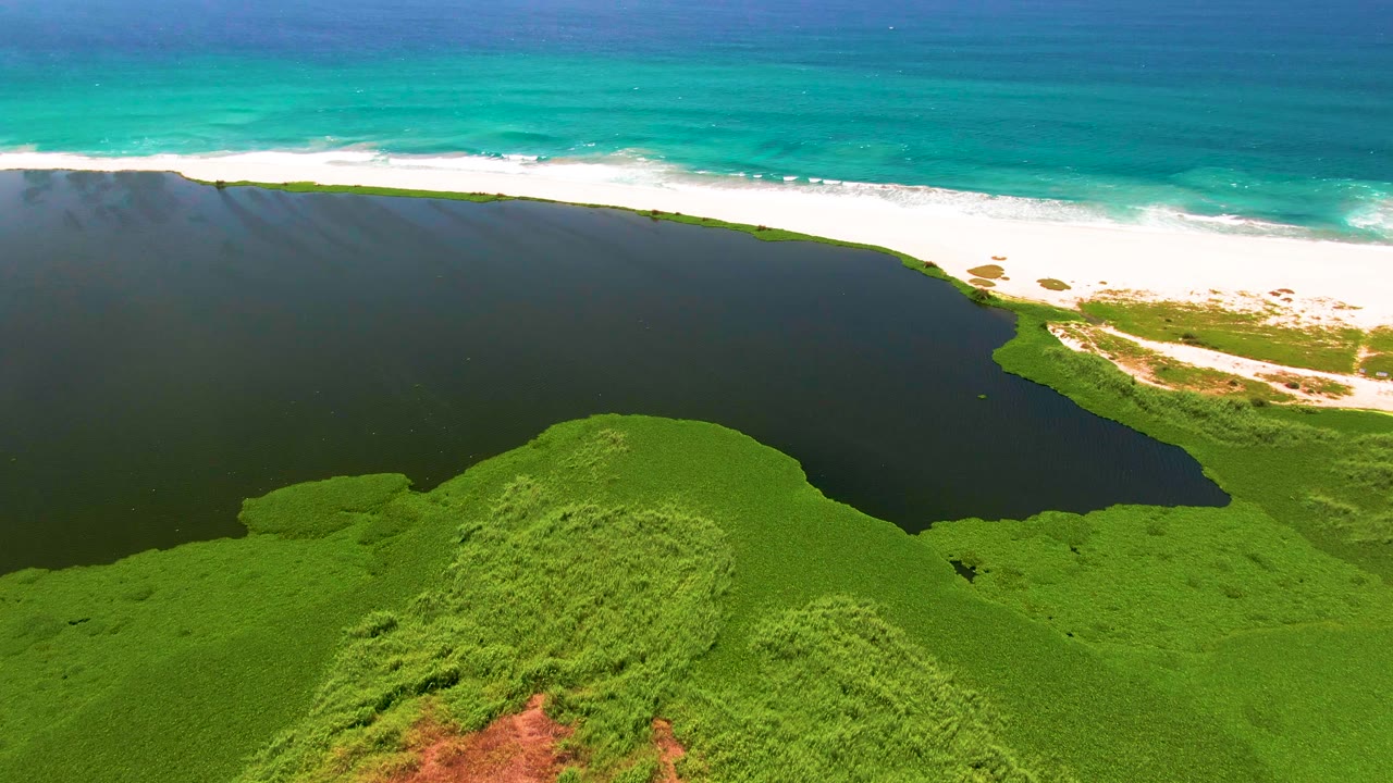 Aerial view of green vegetation, dark lagoon, white sand beach, and turquoise ocean.