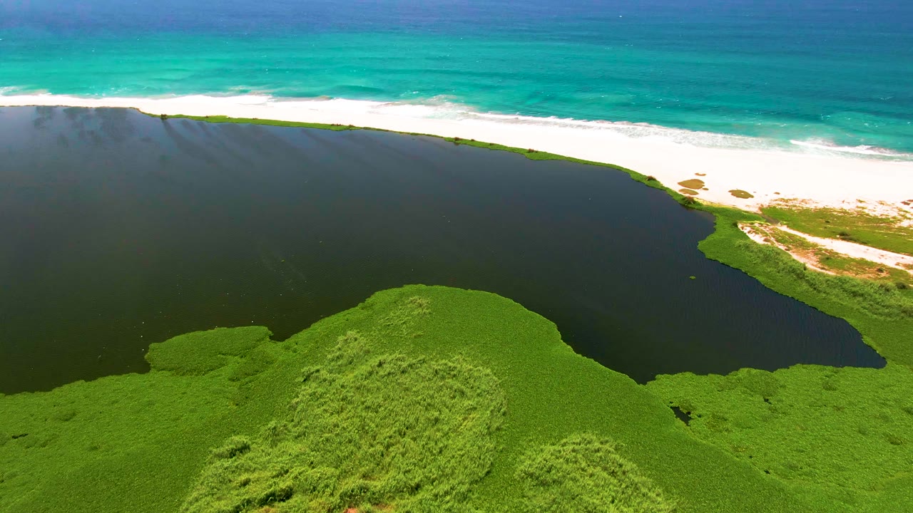 San Jose del Cabo aerial view with the lagoon occupying most of the frame, green vegetation forming a curved lower edge, bright white sand and turquoise ocean above, and no visible people.