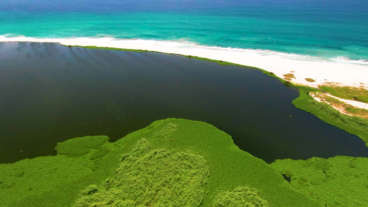 Mid-clip aerial frame over San Jose del Cabo with dark lagoon water filling the center, green vegetation along the bottom edge, white sand and surf across the top, and no visible people.