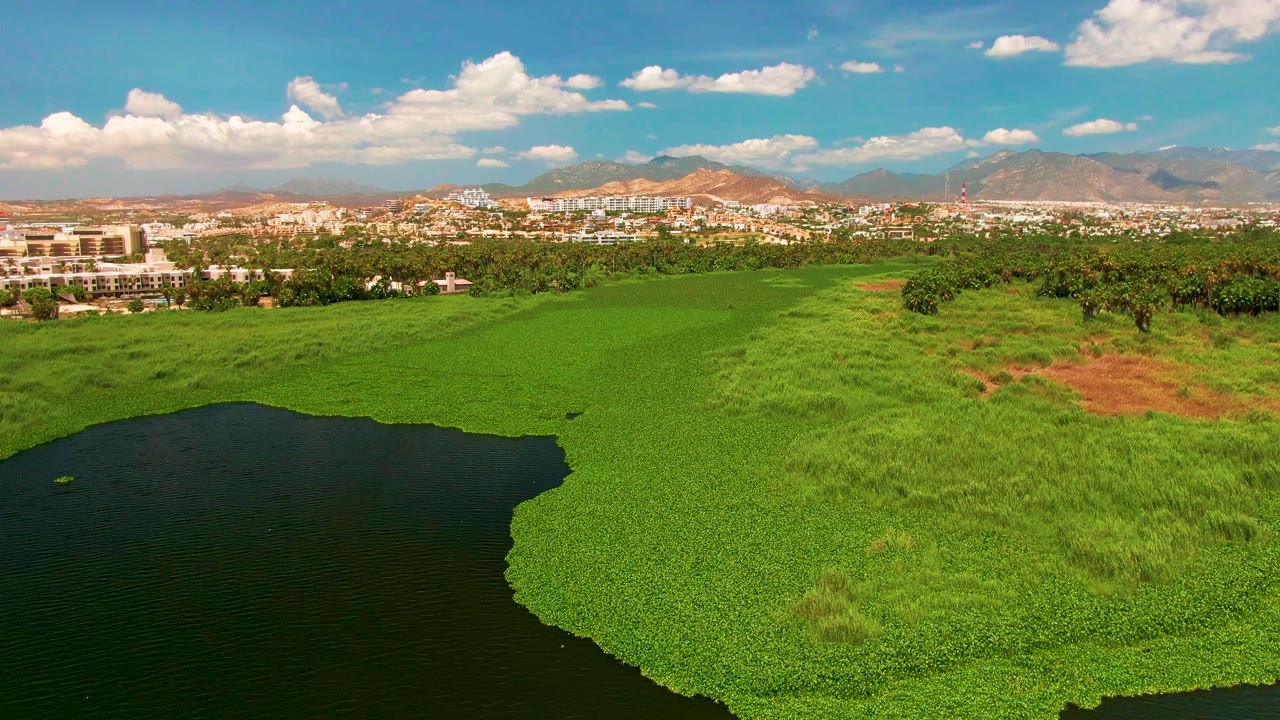 Aerial view in San Jose Del Cabo with the dark waterline curving along bright green vegetation, a tree belt, low buildings, dry hills, distant mountains, partly cloudy sky, and no visible people.