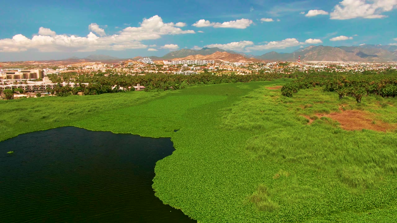 Aerial frame from San Jose Del Cabo with dark water at lower left, textured green plants across the lake surface, trees and buildings in the middle distance, dry hills, mountains, scattered clouds, and no visible people.