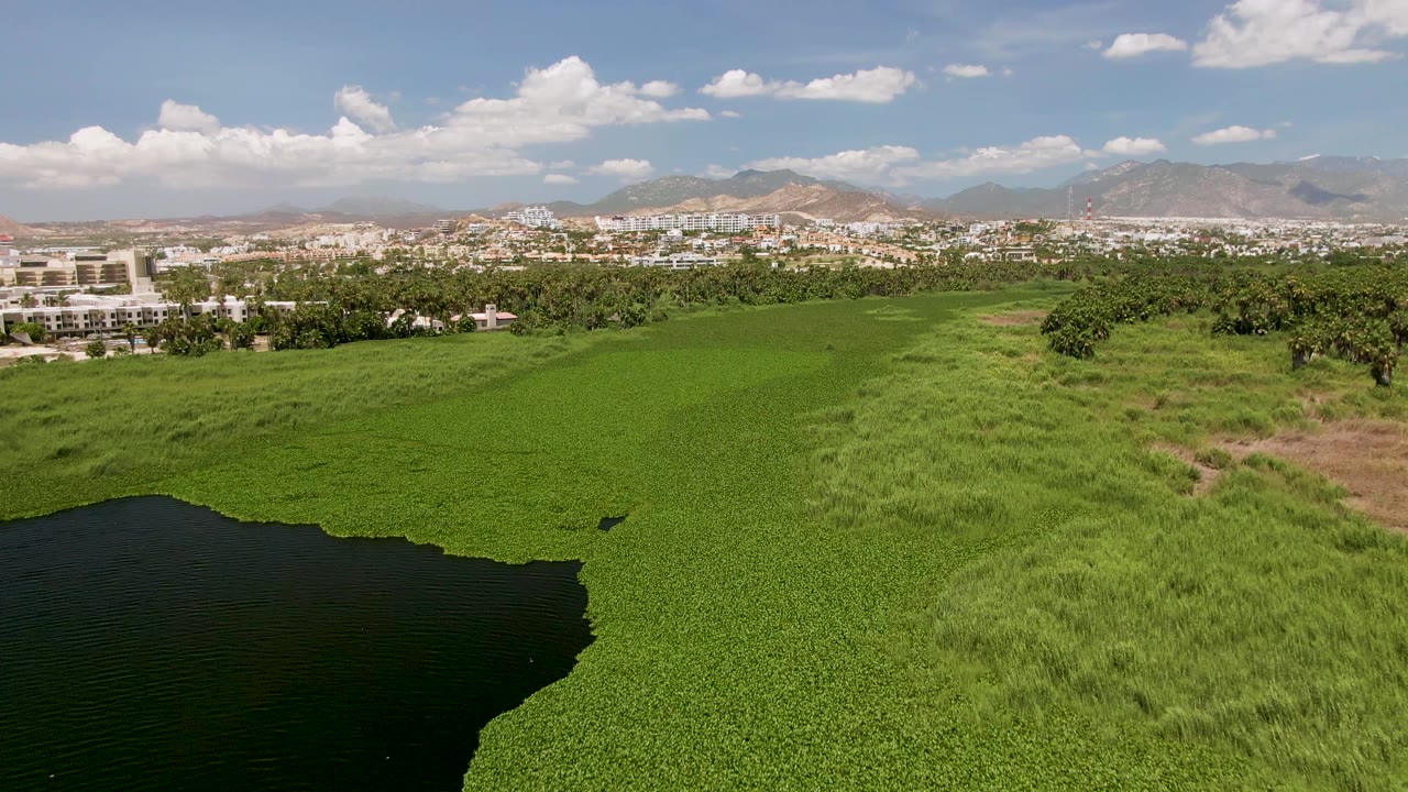 At 0:00, an aerial view over San Jose del Cabo shows dark water in the lower left, bright green field across the foreground, distant buildings, mountains, scattered clouds, and no visible people.