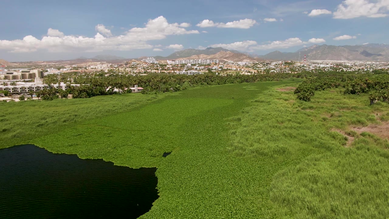 At 0:01, the drone view over San Jose del Cabo holds on a wide green field beside dark water, with trees, low city buildings, mountains, cloud patches, and no visible people.