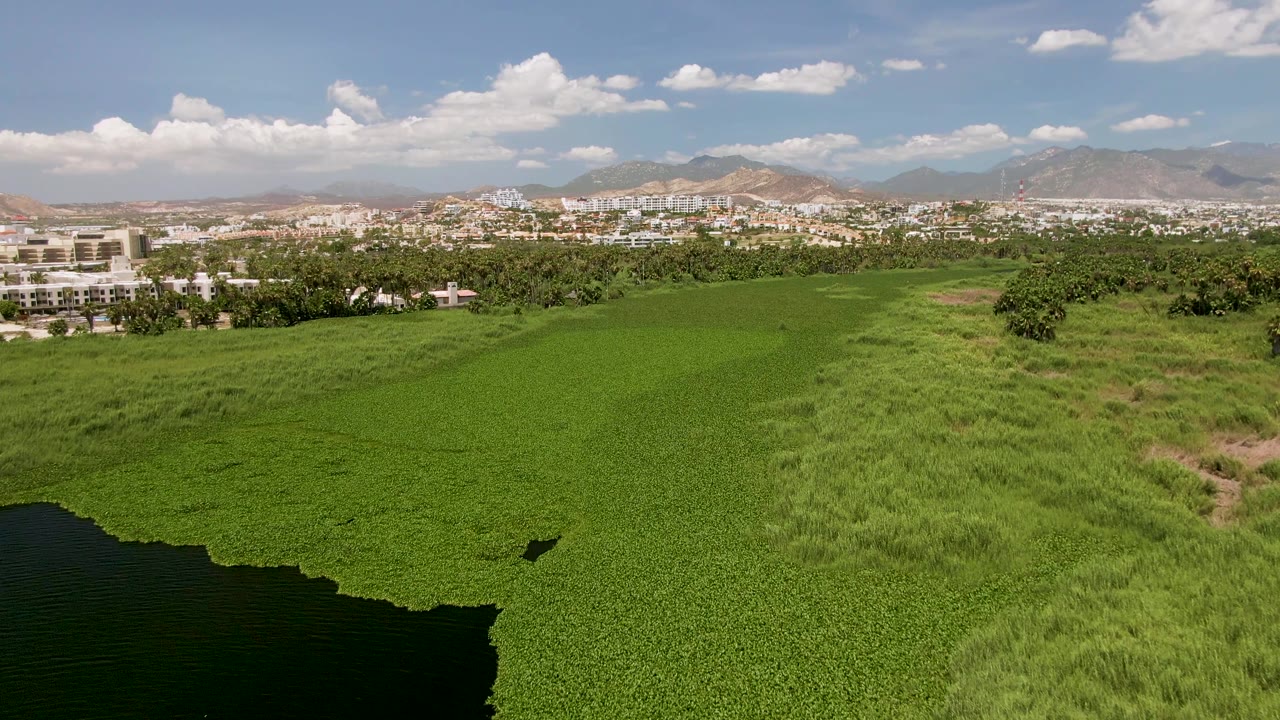 At 0:02, an aerial frame in San Jose del Cabo shows the drone shadow crossing the green vegetation near the dark water, backed by trees, buildings, mountains, clouds, and no visible people.